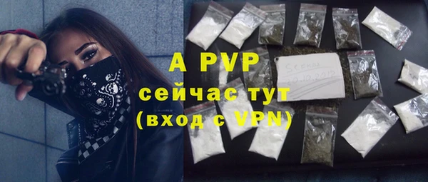 2c-b Богородицк