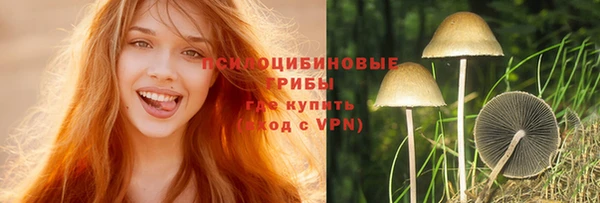 2c-b Богородицк