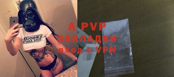 ПСИЛОЦИБИНОВЫЕ ГРИБЫ Пересвет