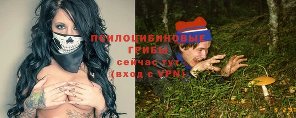 2c-b Богородицк