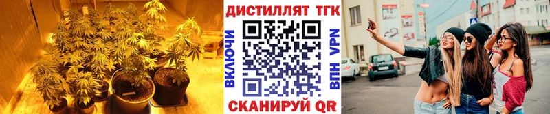 ТГК гашишное масло  наркота  Тотьма 