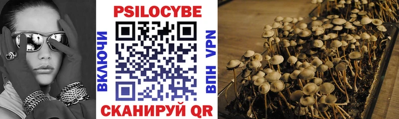 Галлюциногенные грибы Psilocybe  Тотьма 